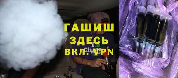 твердый Гусев