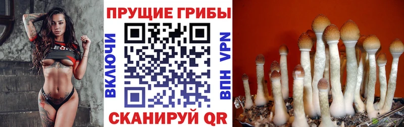 Галлюциногенные грибы мухоморы  ссылка на мегу ссылка  Баксан  наркошоп 